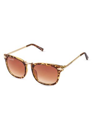 brown printed square frame sunglasses - 1056567 - Standard Image - 2