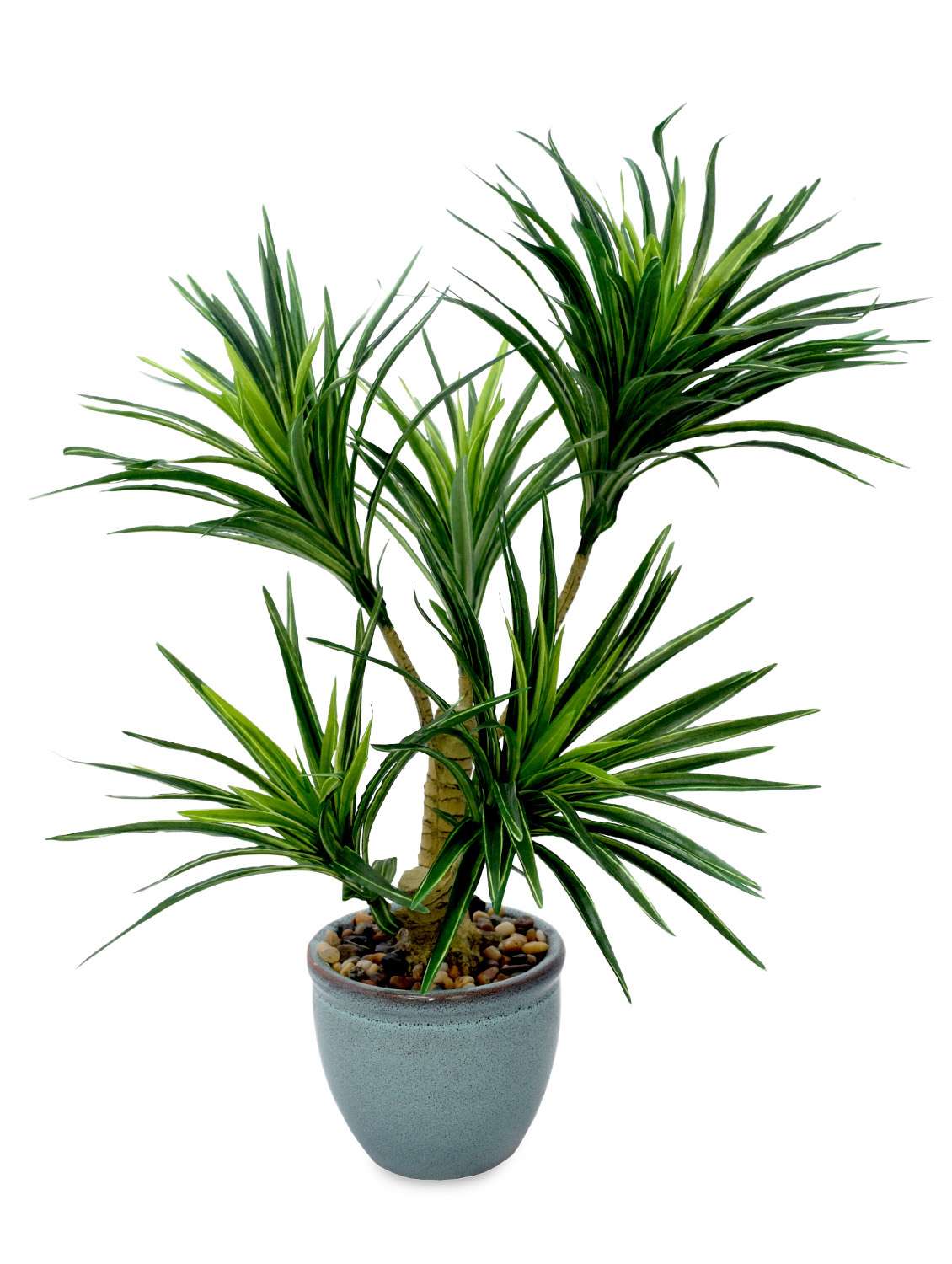 Artificial Yucca Bonsai Plant With Pot By Best Deals With Price