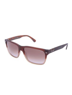 brown plastic wayfarer men sunglass - 12442268 - Standard Image - 2