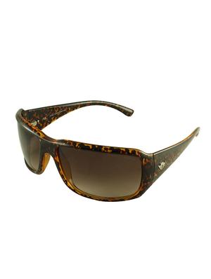 brown full rim sunglass - 12442284 - Standard Image - 2