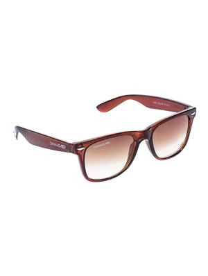 danny daze wayfarer d-1704-c17 sunglasses - 13350781 - Standard Image - 2