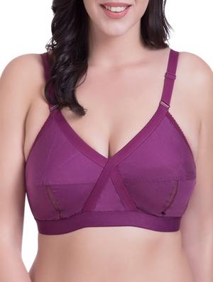set of 2 multi colored bra - 14384756 - Standard Image - 5