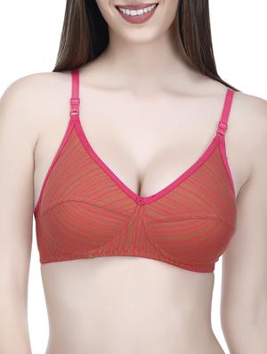 set of 3 multi colored hosery bra - 14424875 - Standard Image - 2