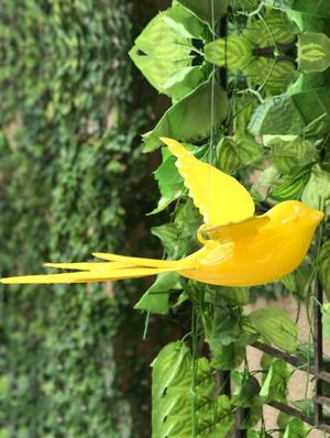 Rocky Star Yellow Hanging Bird - 14441252 - Standard Image - 2