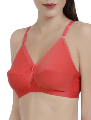 Orange minimizer bra - 14521838 - Standard Image - 2