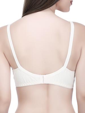 Set of 2 multi colored bras - 14544159 - Standard Image - 5
