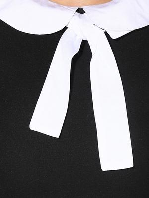 contrast detail peter pan collar dress - 14612454 - Standard Image - 5