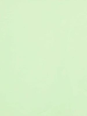green polyester scarf - 14680016 - Standard Image - 2