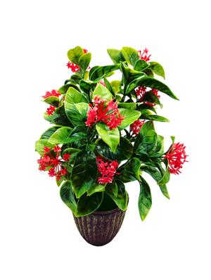 Artificial Plant With Large Green Leaves and Red Flowers - 14902080 - Standard Image - 2