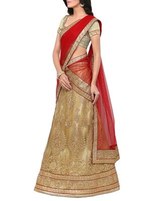 gold net embroidered panelled lehenga - 14959772 - Standard Image - 2