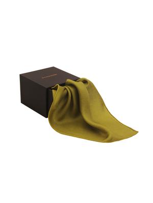 yellow silk pocketsquare - 14960176 - Standard Image - 5