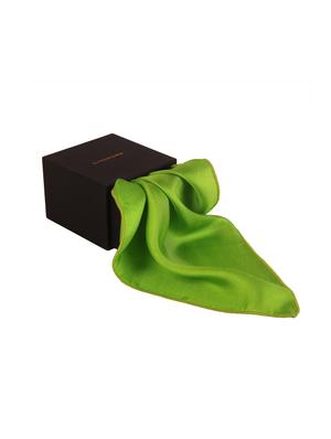 green silk pocketsquare - 14960178 - Standard Image - 5