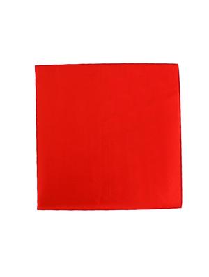 red silk pocketsquare - 14960208 - Standard Image - 2