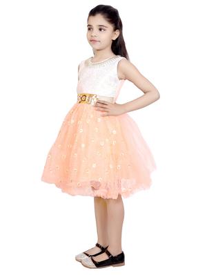 pink net frock - 14981974 - Standard Image - 2