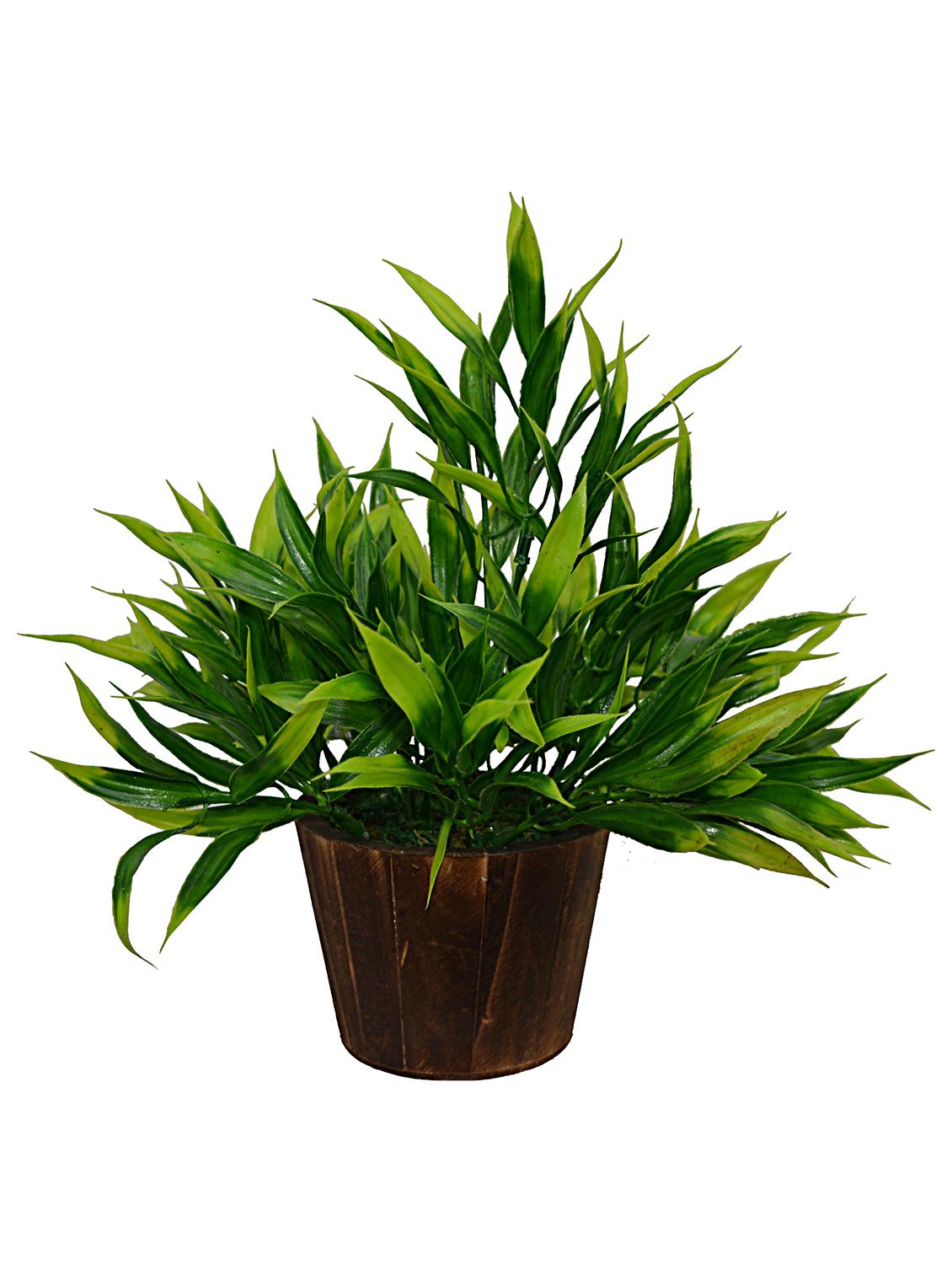 Artificial Plant Bamboo (26 cm/ 10 inchs) in Wood round small pot - 14993928 - Zoom Image - 2