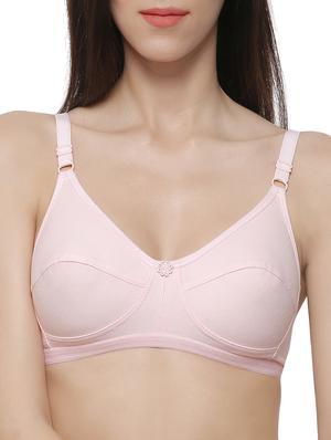 set of 2 multi colored bra - 15122492 - Standard Image - 2