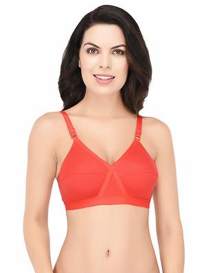 set of 2 multi colored cotton bra - 15218517 - Standard Image - 5