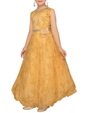 brown net gown - 15229949 - Standard Image - 2