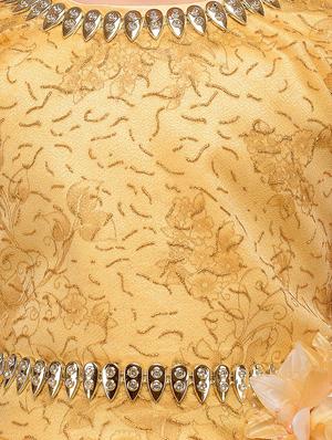 brown net gown - 15229949 - Standard Image - 5