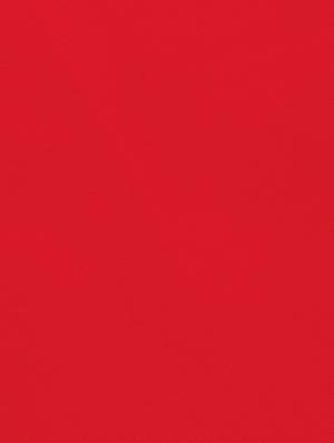 Red embroidered unstitched churidaar suit - 15263537 - Standard Image - 5