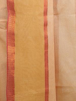 contrast border beige tant sare - 15334279 - Standard Image - 2