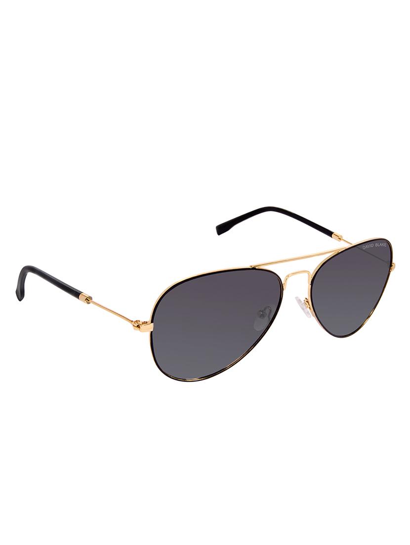 David Blake Blue Aviator Gradient, Polarised & UV Protected Sunglass - 15347011 - Zoom Image - 2