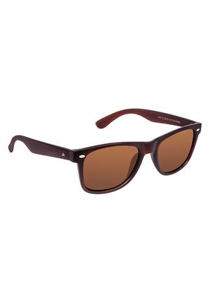David Blake Brown Wayfarer Polarised & UV Protected Sunglass - 15347021 - Standard Image - 2