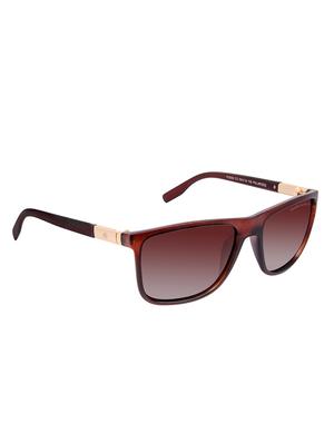 David Blake Brown Wayfarer Gradient, Polarised & UV Protected Sunglass - 15347029 - Standard Image - 2