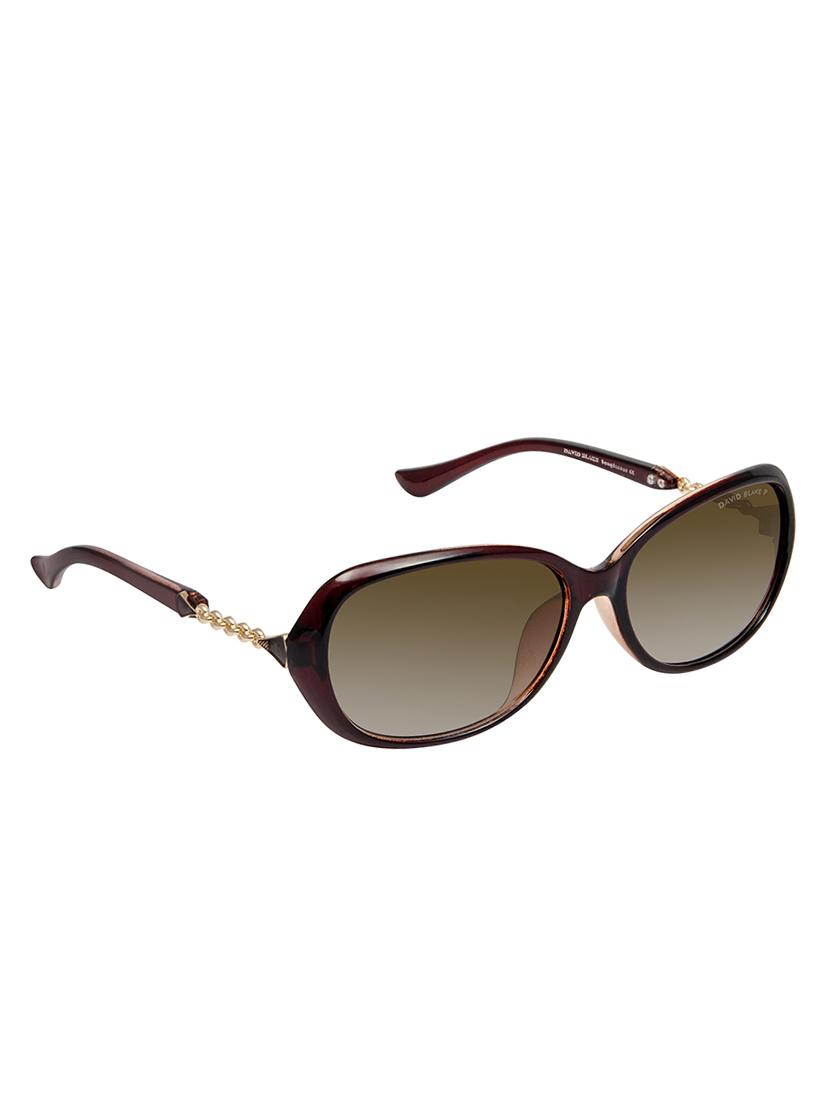 David Blake Brown Oval Gradient, UV Protected Sunglass - 15347047 - Zoom Image - 2
