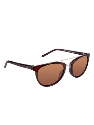 David Blake Brown Round Polarised & UV Protected Sunglass - 15347418 - Standard Image - 2