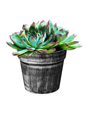 story@home 2 pc silver finish plastic pot - 15384916 - Standard Image - 5