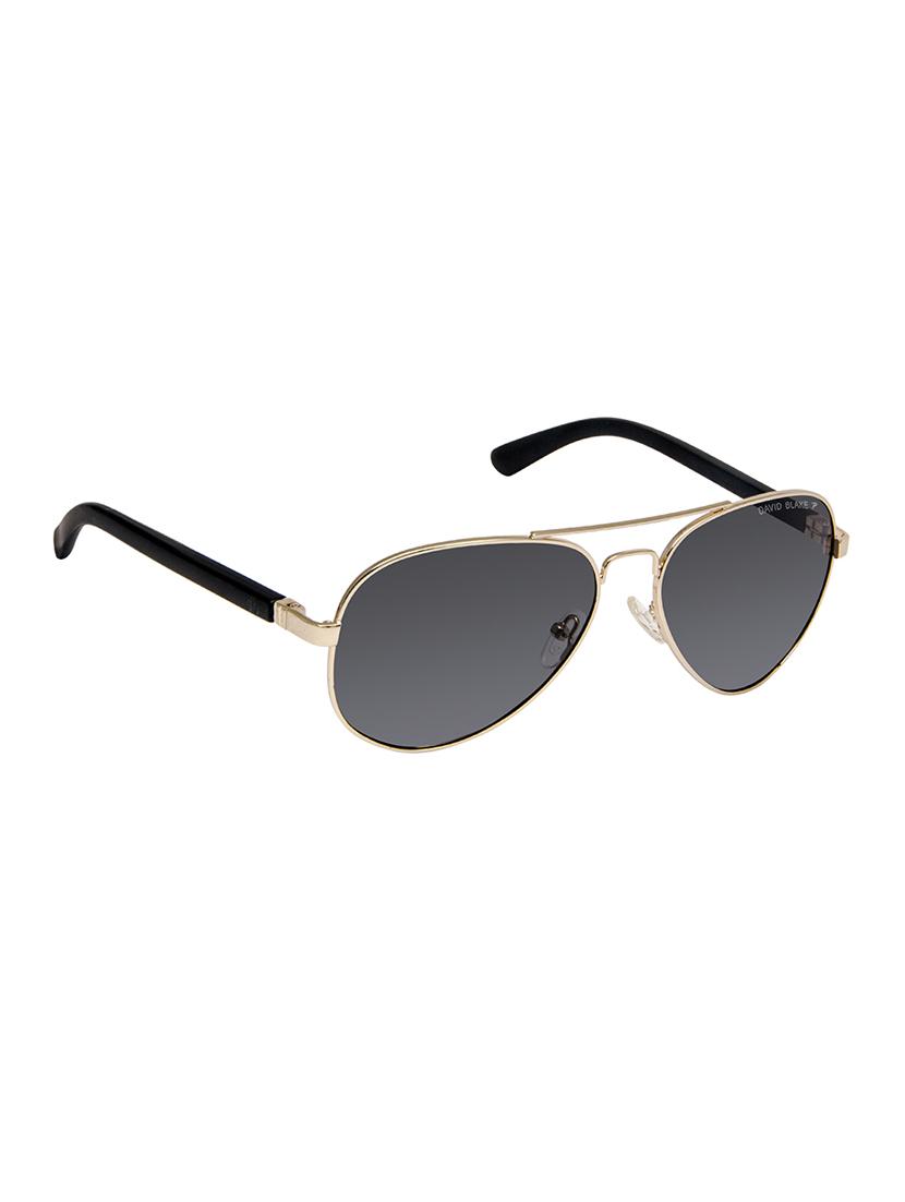 david blake black aviator polarized, uv protected sunglass - 15396058 - Zoom Image - 2