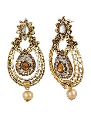 Gold Tone Stone Earrings - 15413288 - Standard Image - 2
