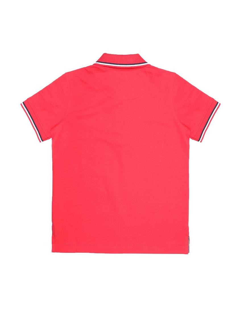 red cotton tshirt - 15417739 - Zoom Image - 2