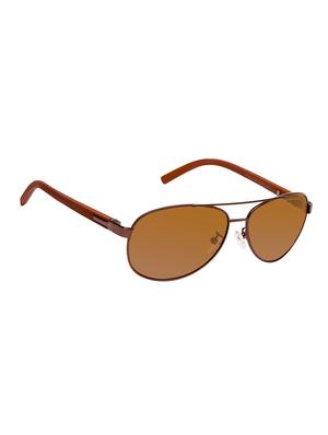David Blake Brown Aviator Polarized Uv Protected Sunglass - 15418707 - Standard Image - 2