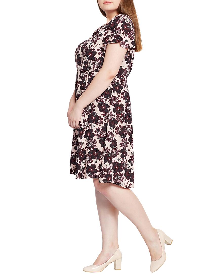 floral fit and flare plus dress - 15431170 - Zoom Image - 2