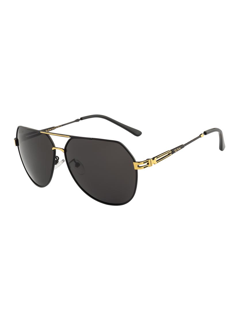 Ted Smith Unisex Aviator Sunglasses (TS-P0965_M.BLK) - 15431554 - Zoom Image - 2