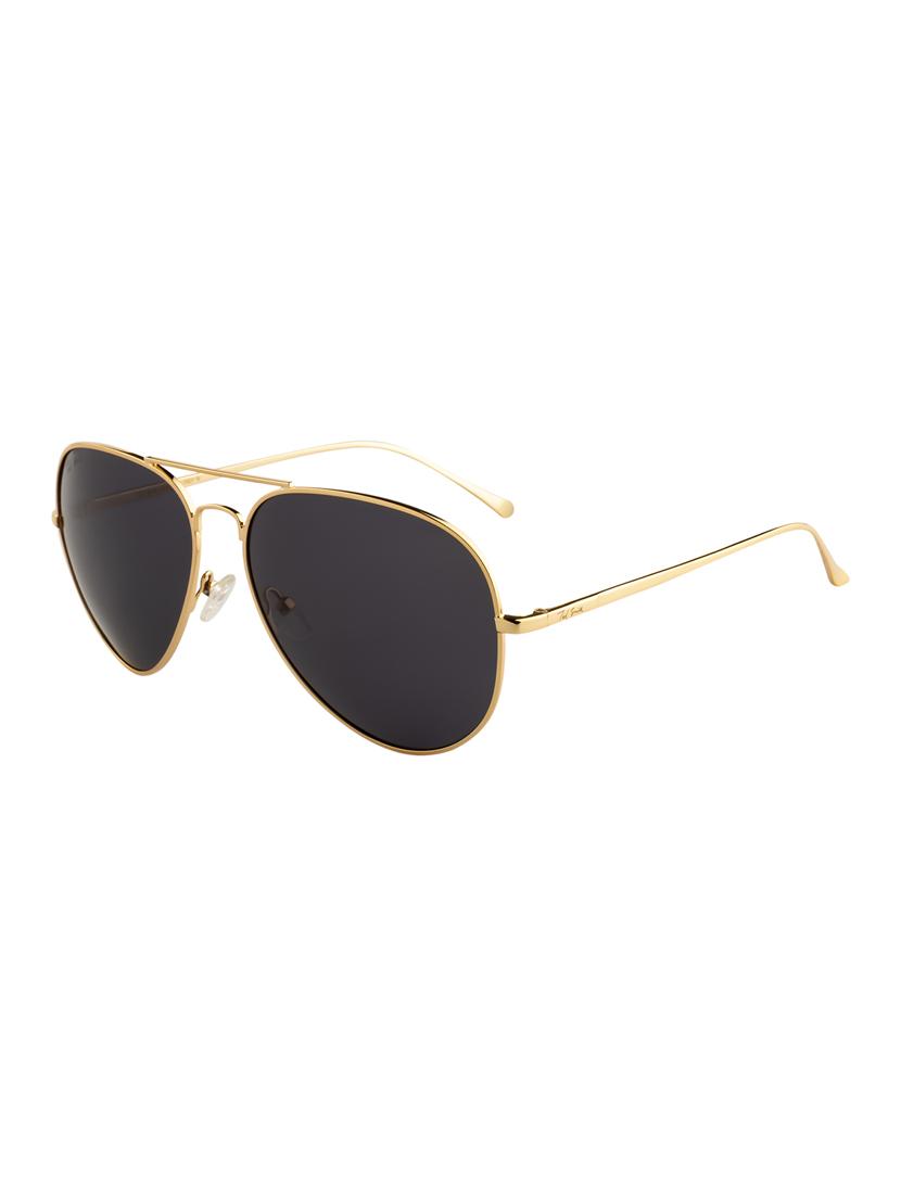 Ted Smith Unisex Aviator Sunglasses (TS-P0863_C6) - 15431561 - Zoom Image - 2