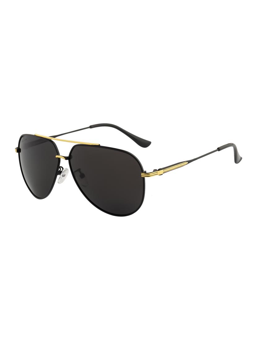 Ted Smith Unisex Aviator Sunglasses (TS-P0967_GLD) - 15431566 - Zoom Image - 2