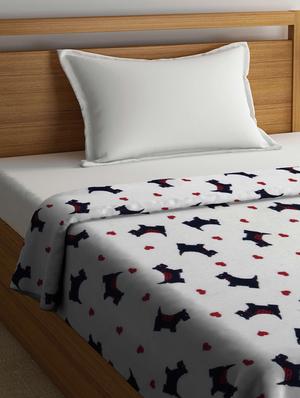 white cotton blanket - 15481811 - Standard Image - 2