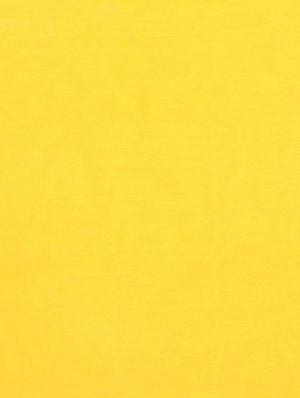 yellow solid stole - 15484649 - Standard Image - 2