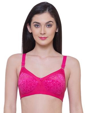 set of 2 lace detail bra - 15563672 - Standard Image - 2