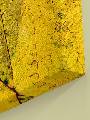 Canvas Premium Incredible Art Painting - 15614406 - Standard Image - 2