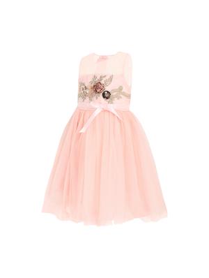 pink net frock - 15628886 - Standard Image - 2