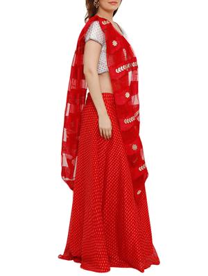 Gota patti self-design flared lehenga - 15702238 - Standard Image - 2