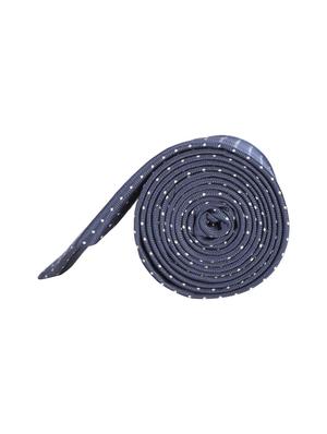 blue silk tie - 15727881 - Standard Image - 2