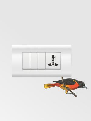 Wall Decals ' Color Switch Board Combo No.31 ' Wall stickers (PVC Vinyl) - 15730199 - Standard Image - 2