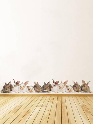 Rawpockets Wall Decals ' Living Room Rabbit Group ' Wall stickers (PVC Vinyl) Multicolour - 15733880 - Standard Image - 2