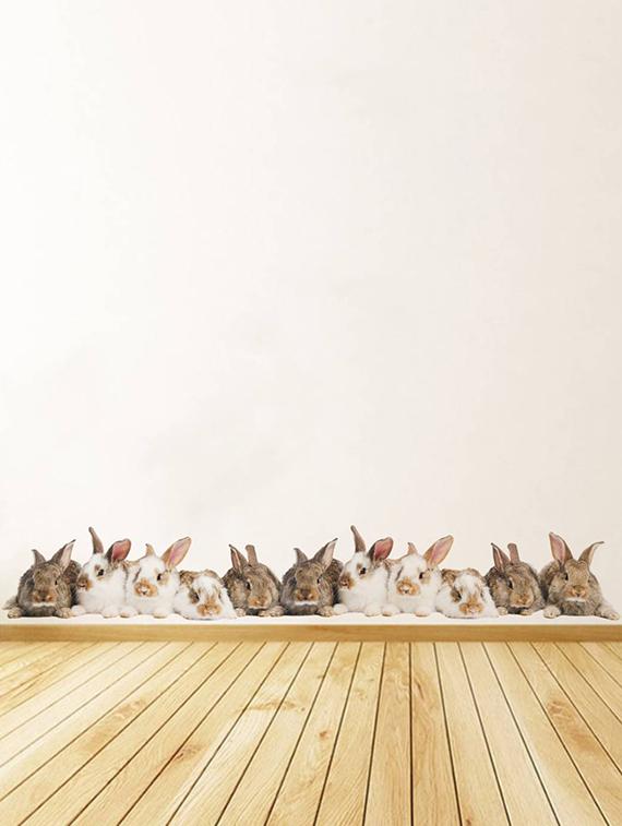 Rawpockets Wall Decals ' Living Room Rabbit Group ' Wall stickers (PVC Vinyl) Multicolour - 15733880 - Zoom Image - 2