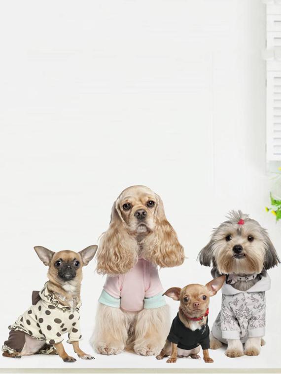 Rawpockets Wall Decals ' Cute Dog Family ' Wall stickers (PVC Vinyl) Multicolour - 15733884 - Zoom Image - 2